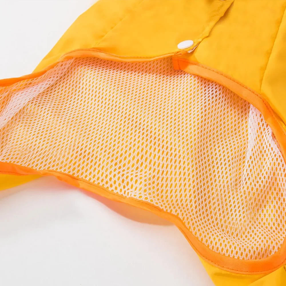 Waterproof Dog Raincoat with Clear Hood 🐾☔