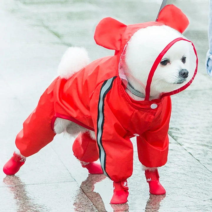 Waterproof Dog Raincoat with Clear Hood 🐾☔