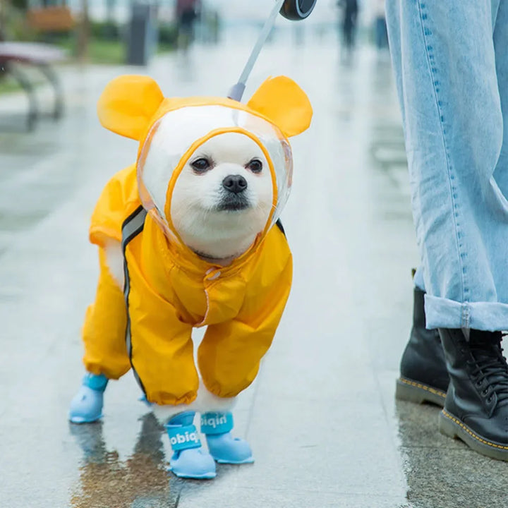 Waterproof Dog Raincoat with Clear Hood 🐾☔